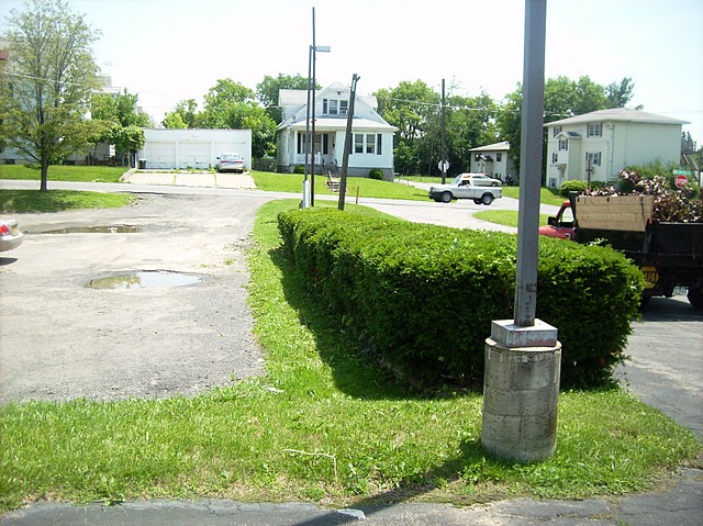 tree removal service