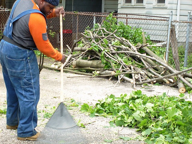 tree removal service