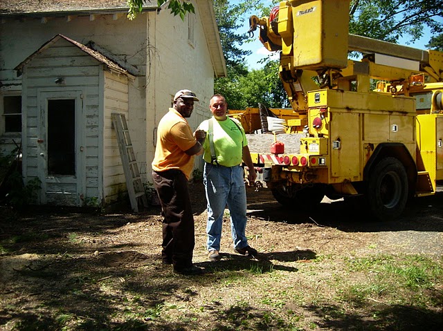tree removal service